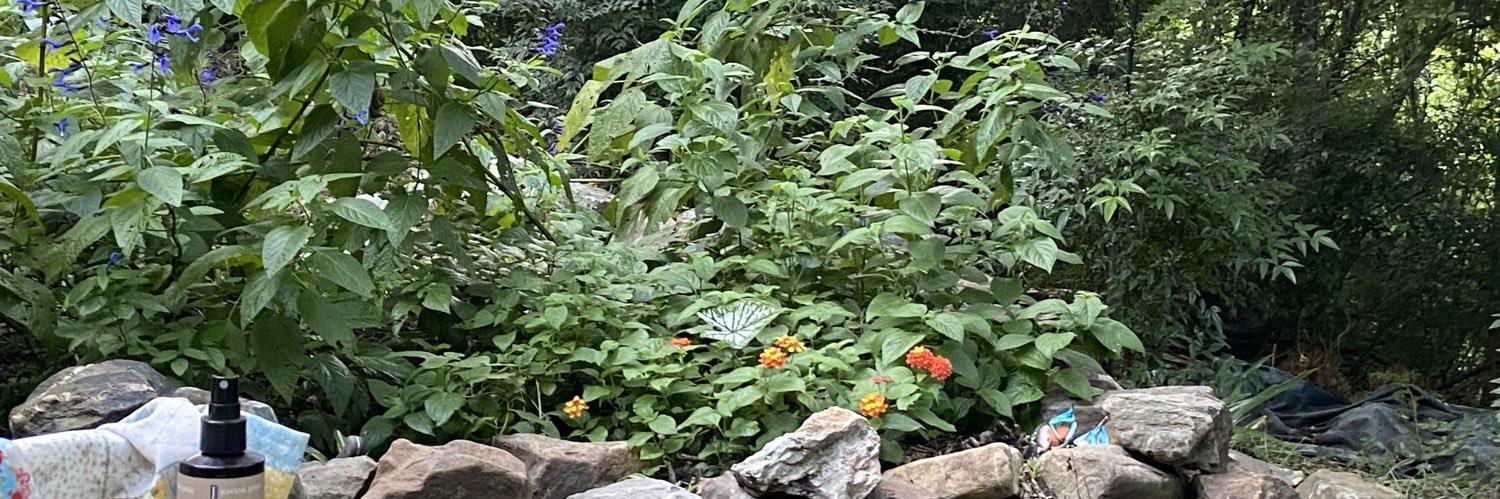 Suzy 💙🐩 banner