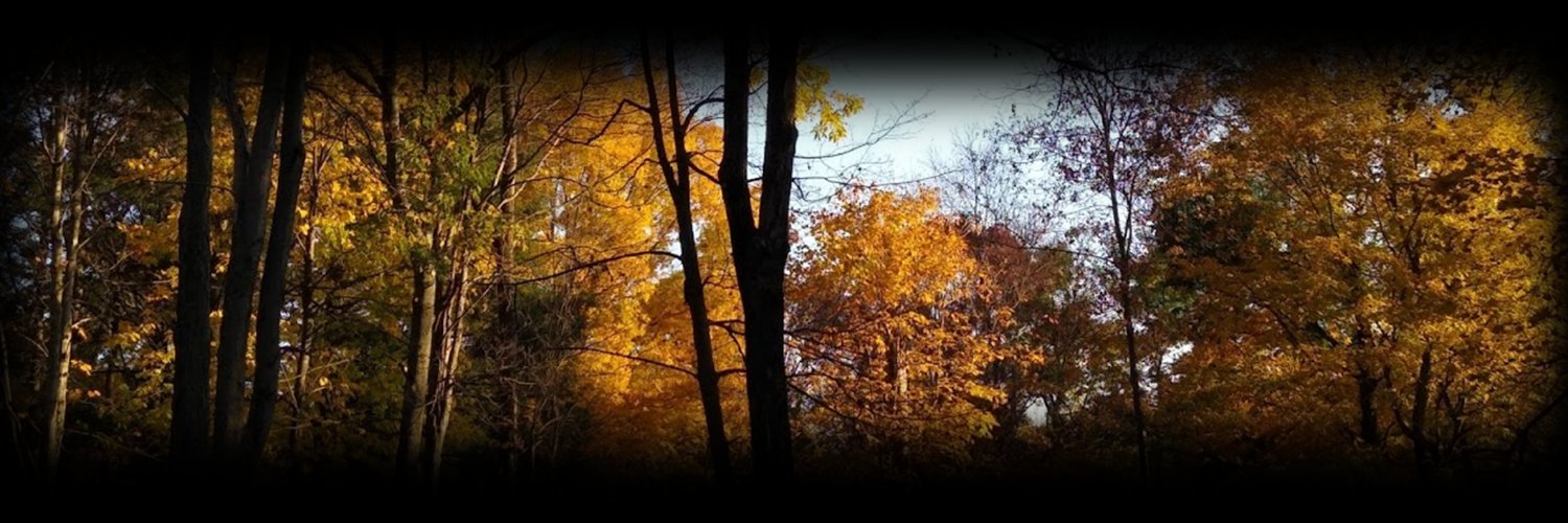 @delightfuljay on Tumblr banner