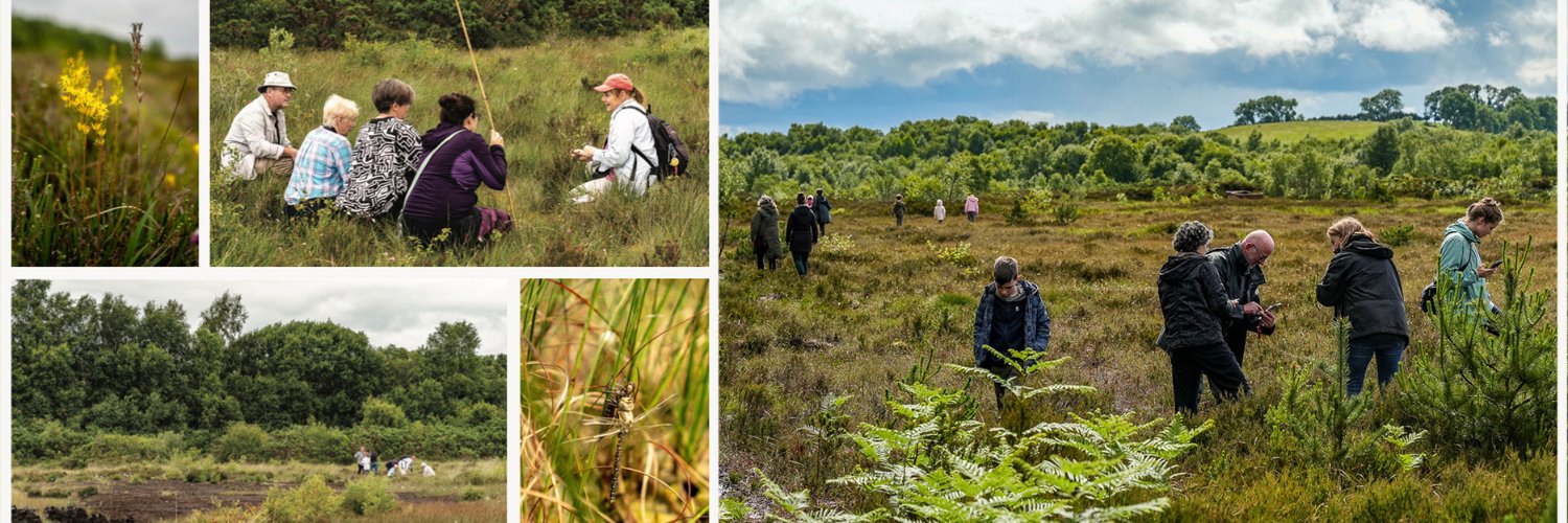 Friends of Ardee Bog banner