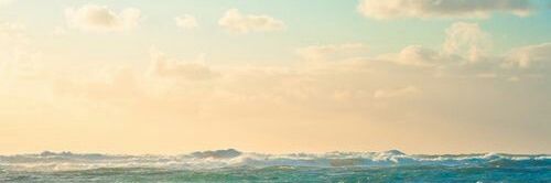 saskkiax's profile banner image