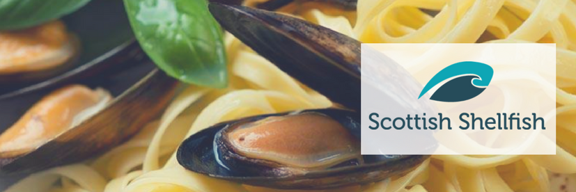 Scottish Shellfish banner