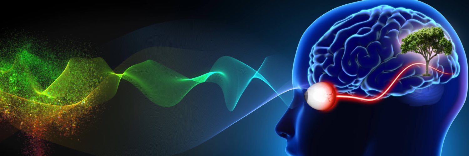 Katherine Buse banner