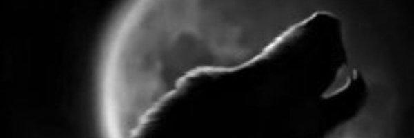 UrduNaamWala Profile Banner