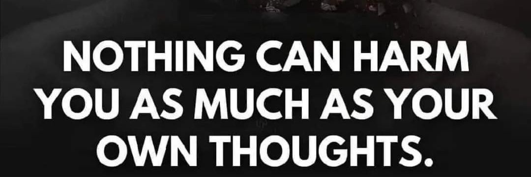 MindMat88325520's profile banner image