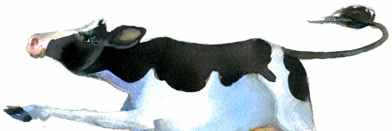 MapletonsDairy's profile banner image
