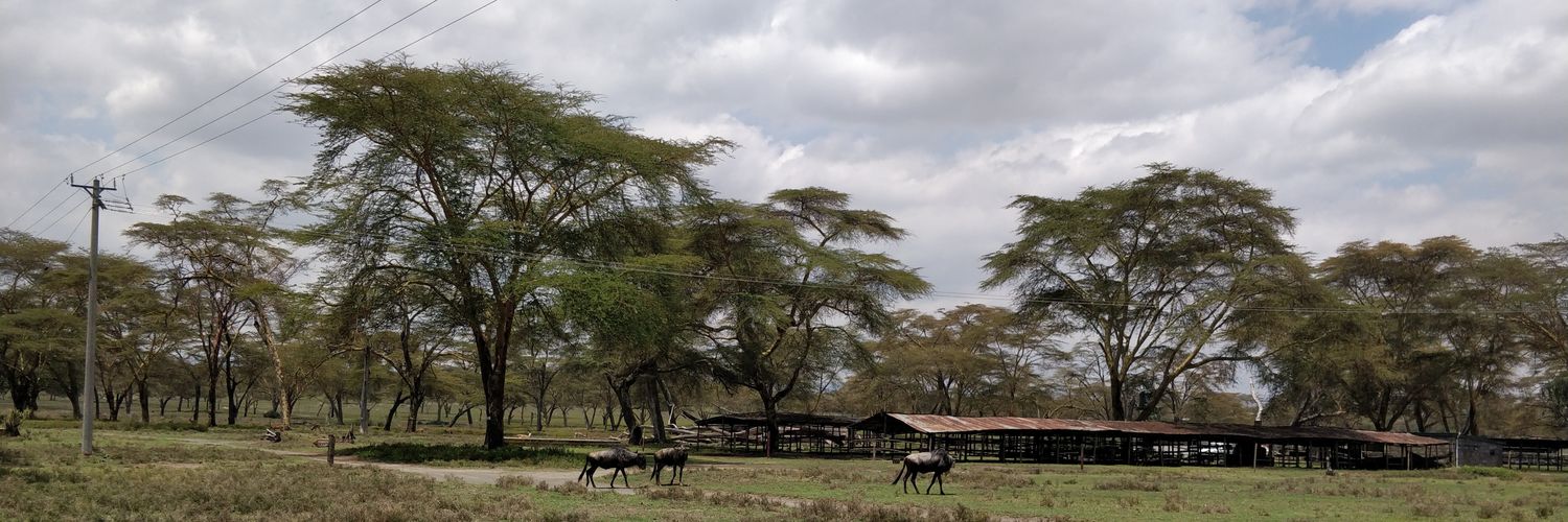 Miski Abdi banner