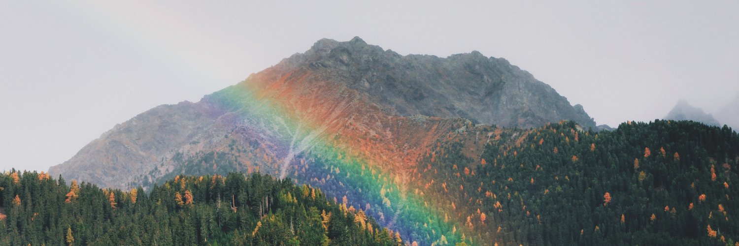 evy_leo's profile banner image
