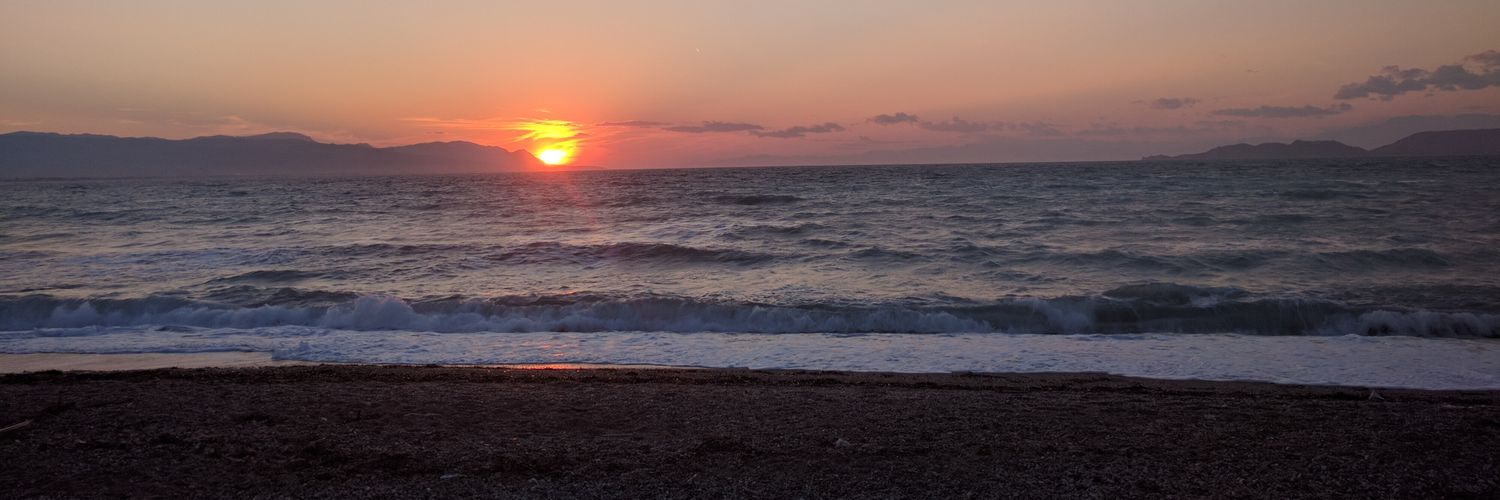 Ari Stathopoulos banner