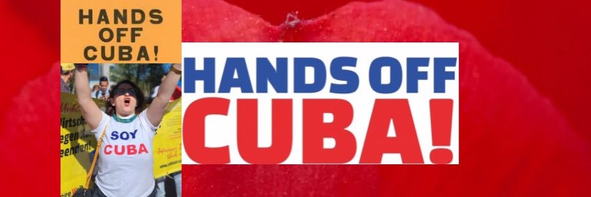 Nicoletta Voltarelli banner