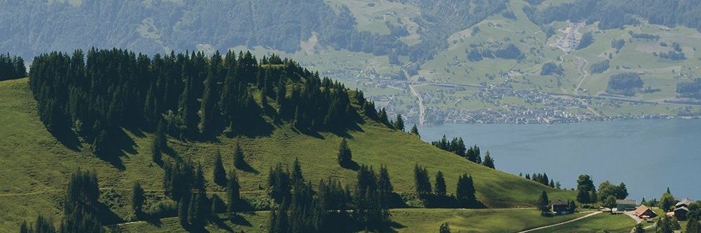 BooBookie ˣʰ ☃️❄️ banner