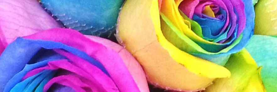 DinaM6626's profile banner image
