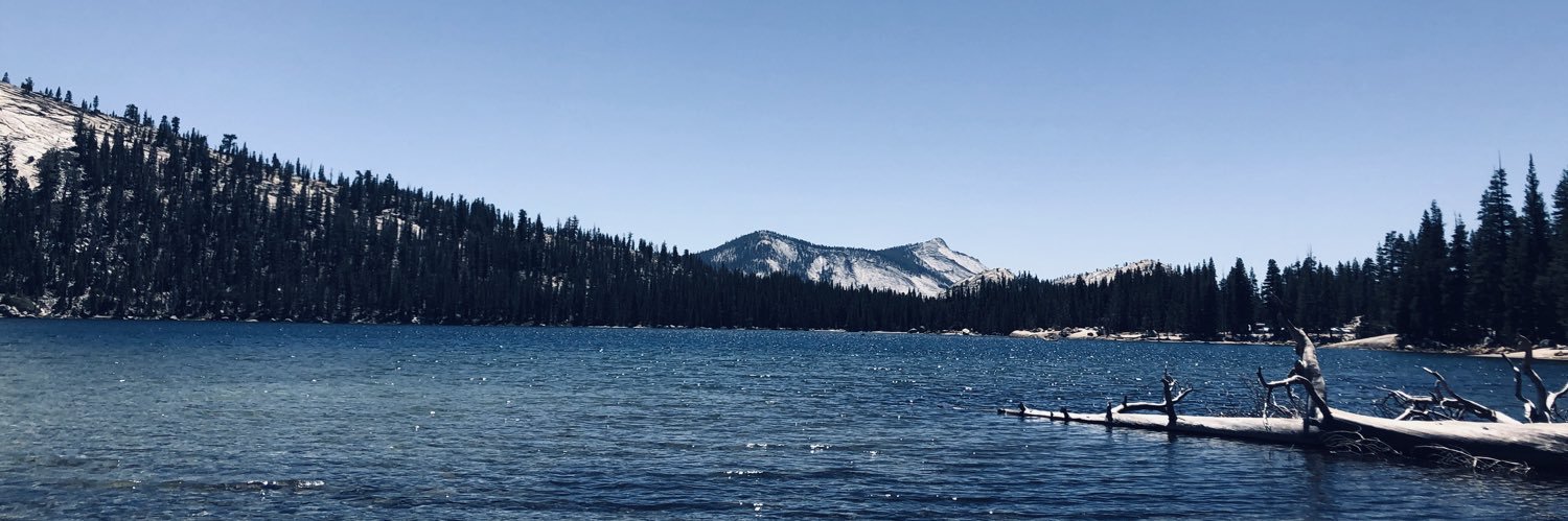 nickcmcgee's profile banner image