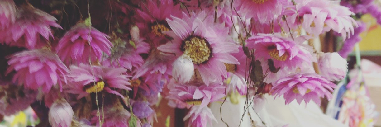 EMAK831's profile banner image