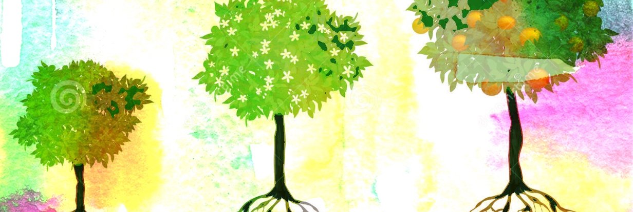 mlouca's profile banner image