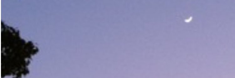 osaravan's profile banner image