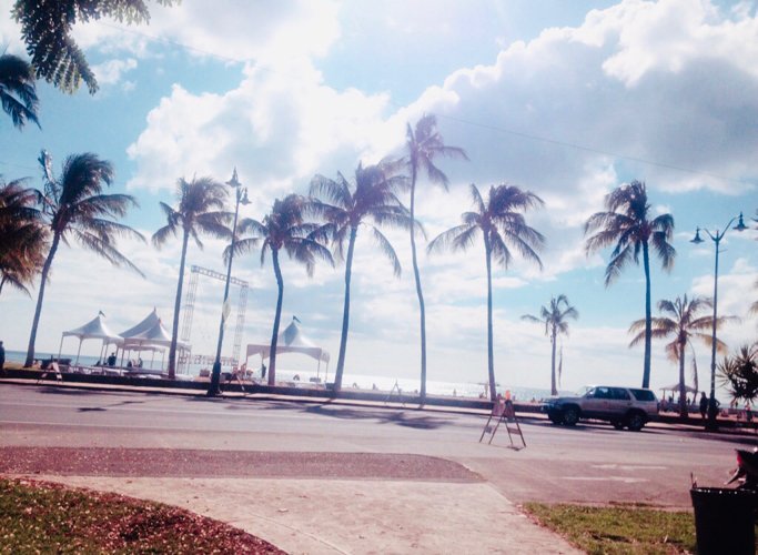 🌴 ⁾⁾ はとば 🌴 ⁾⁾ banner