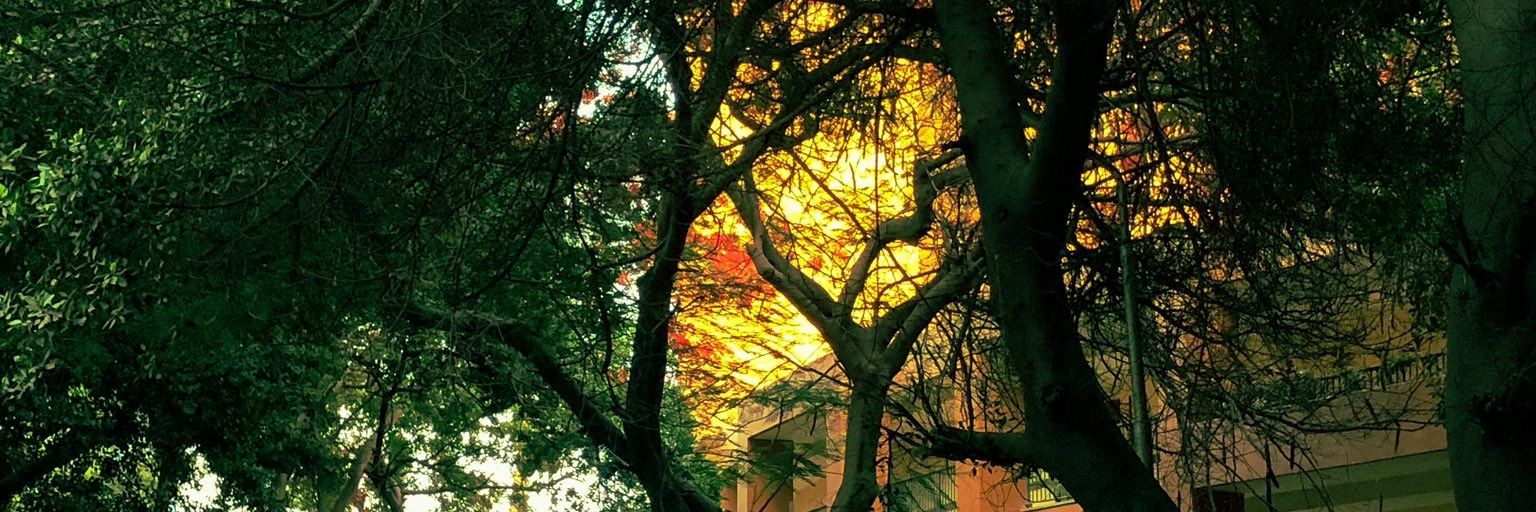 a6o_ashraf's profile banner image