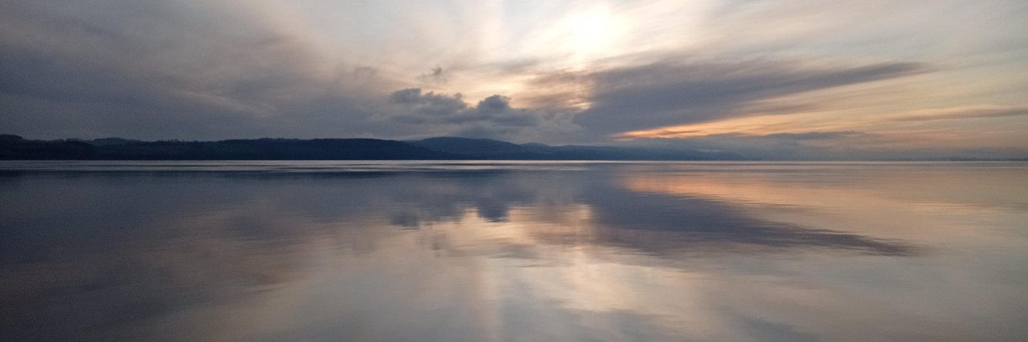 BeeBathish's profile banner image