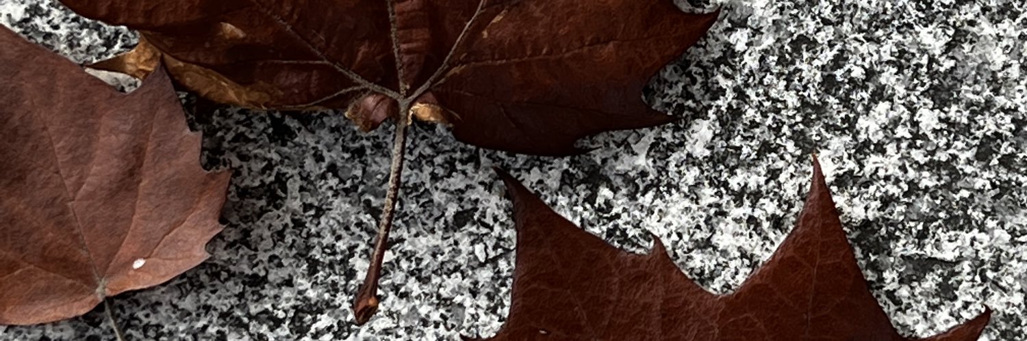 qidkiddy3's profile banner image