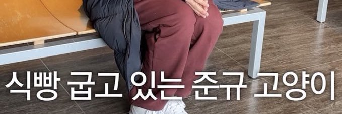 체리 banner