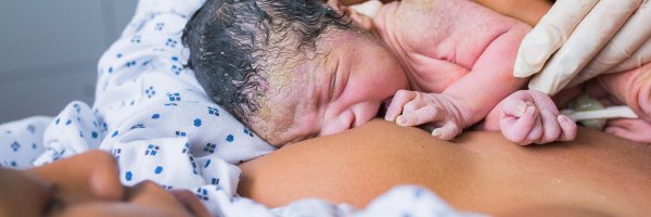 NewbornToolkit Profile Banner