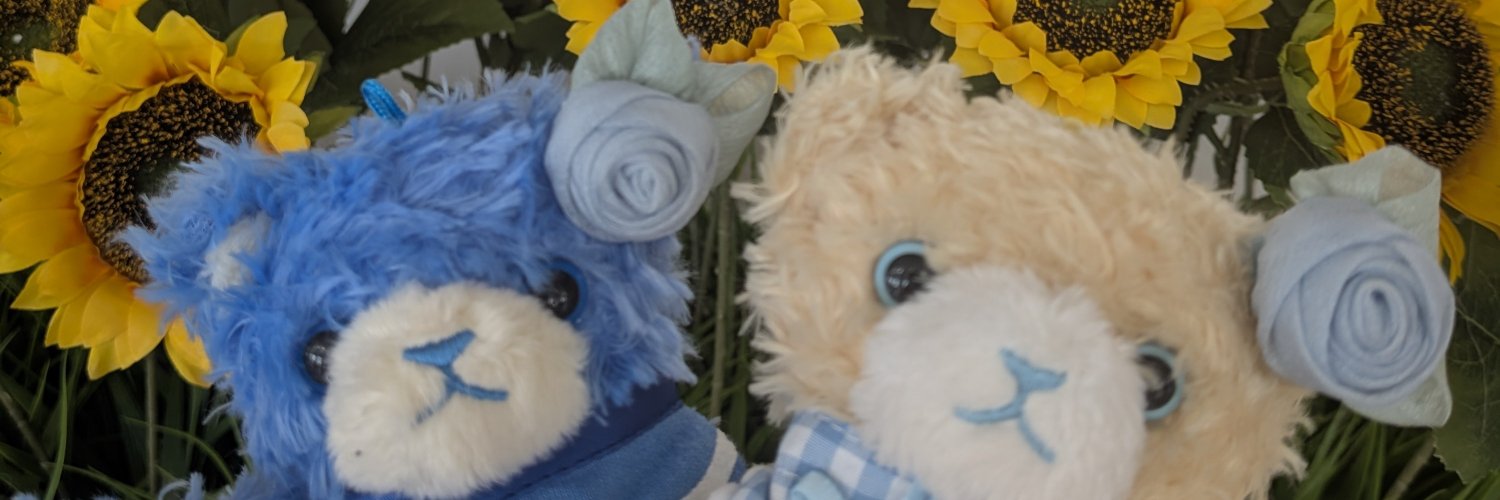 his_ksr's profile banner image