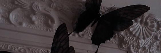 Malik banner