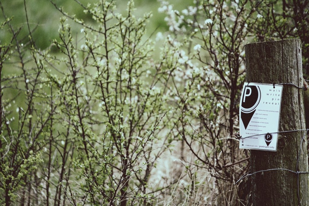 Poetry Pin © banner
