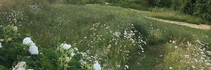 txanap0rn's profile banner image