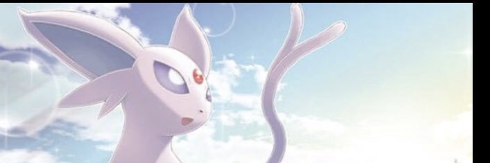 Mauricio Ramírez banner