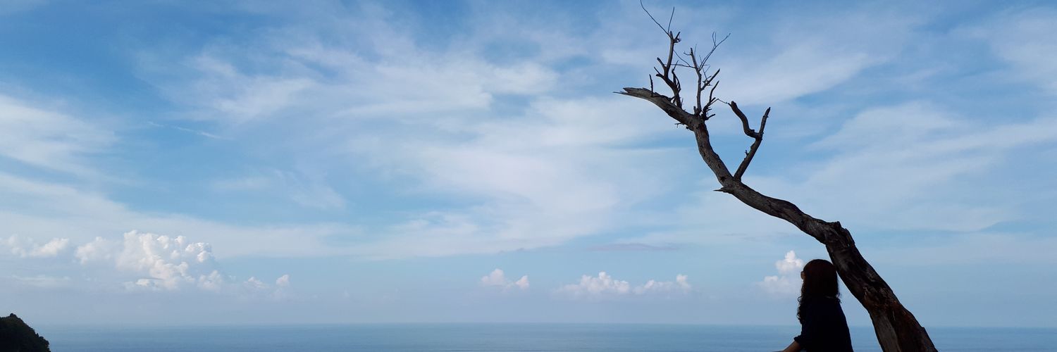 nowlsss's profile banner image