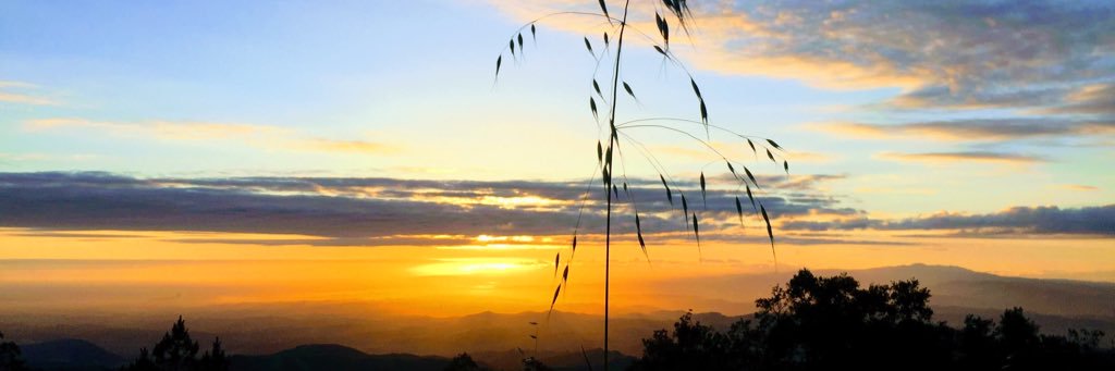 Wishplorer banner