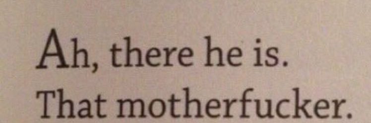 Qeewi 2.0 🥝 banner