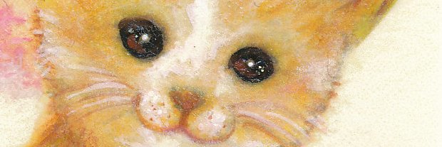 TAKA_HOJO's profile banner image