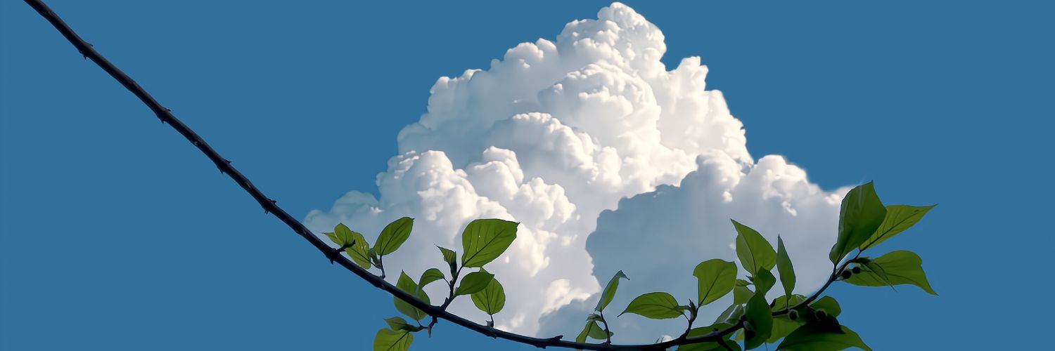 l38818807's profile banner image