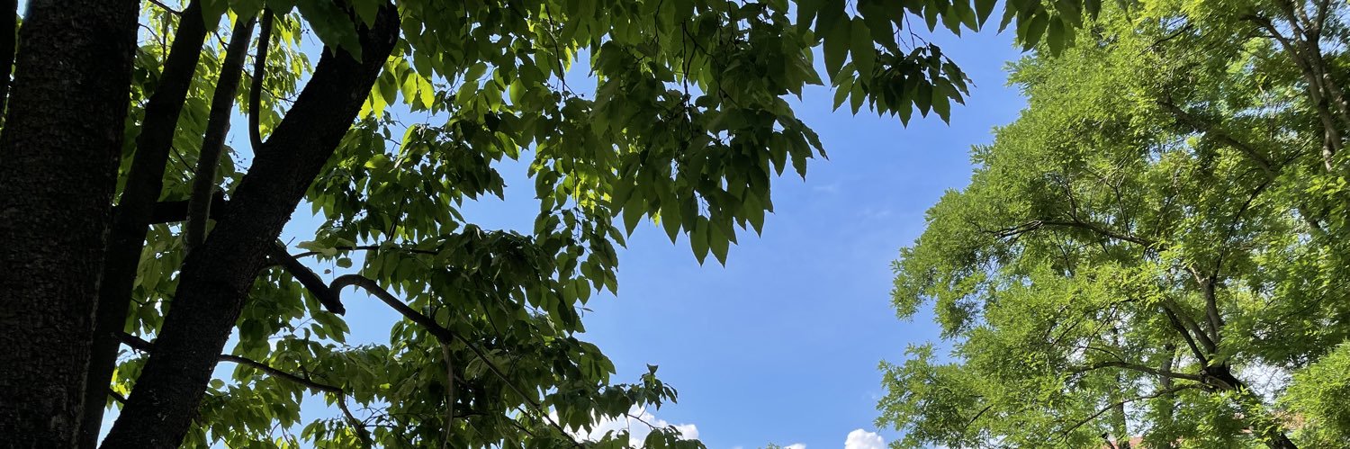 christophersen_'s profile banner image