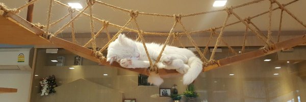 VernLoveis Profile Banner