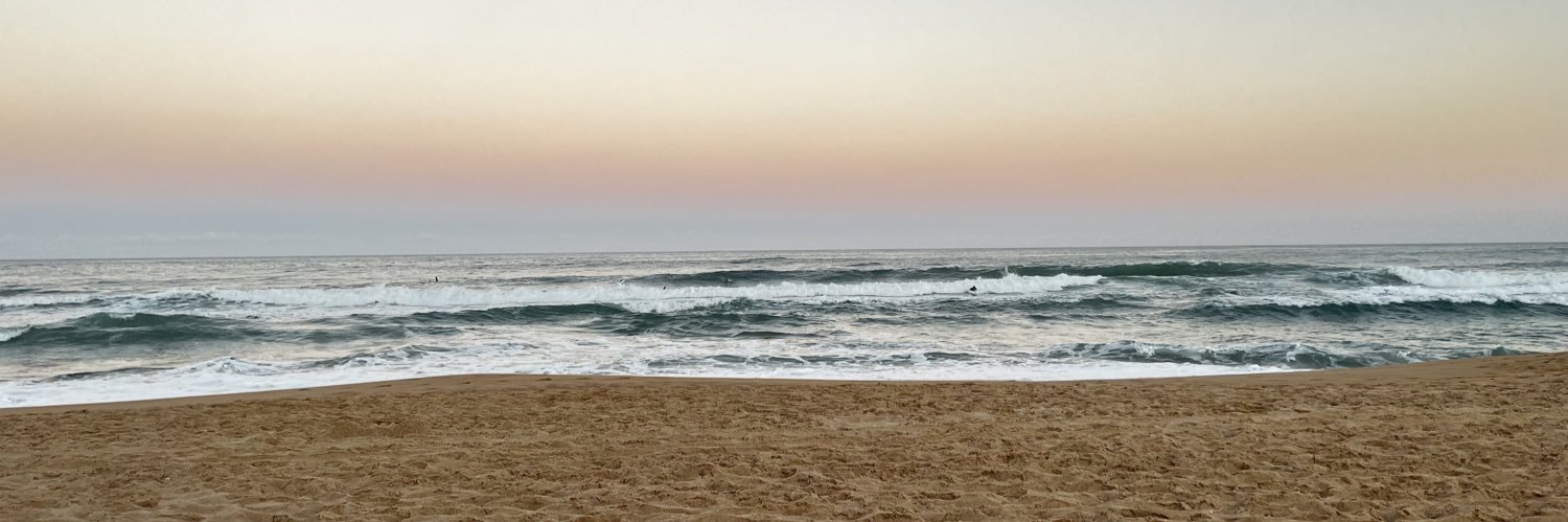 Ana Laura De Brito banner