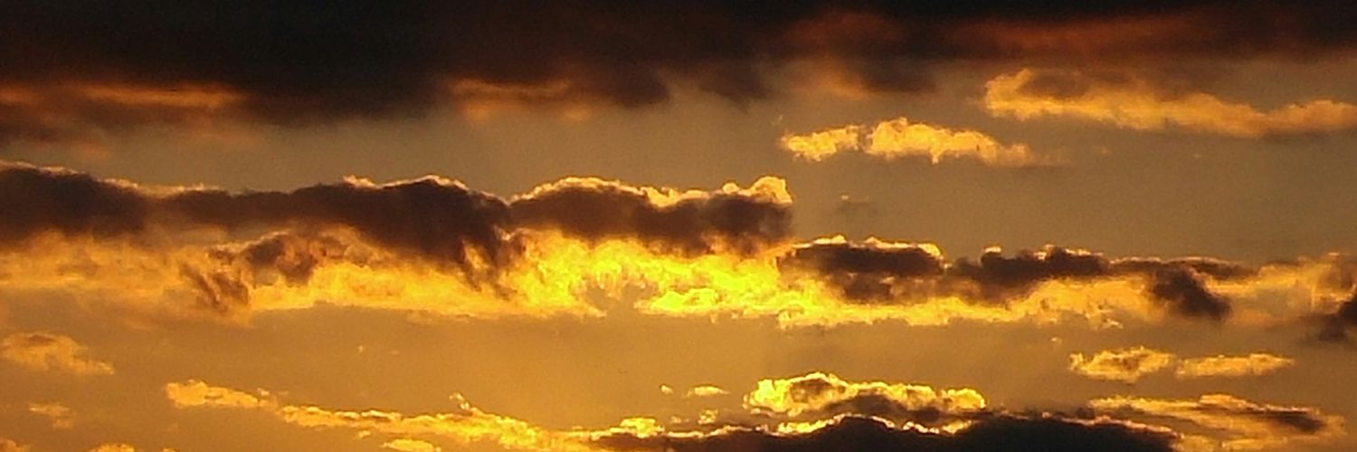 chokidu's profile banner image