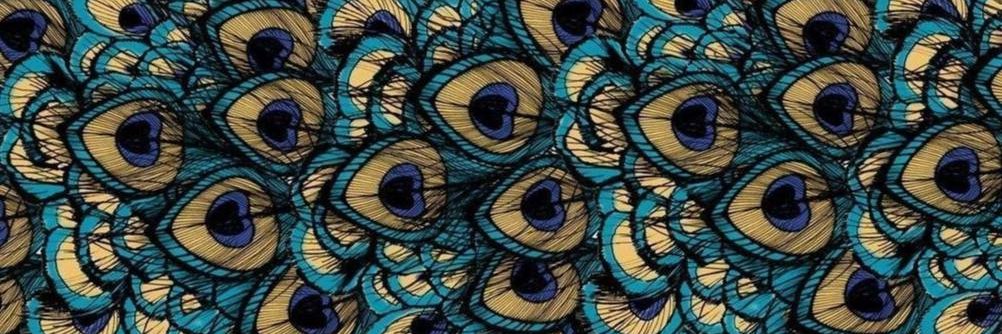 SanRbls's profile banner image