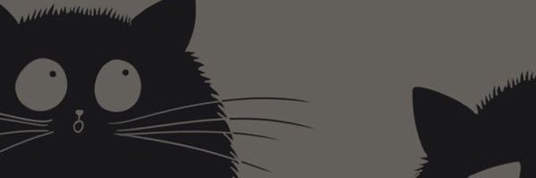 dxt158's profile banner image