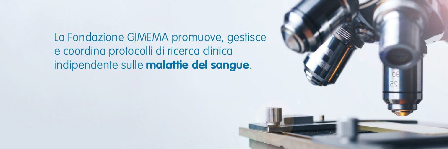 Fondazione GIMEMA banner