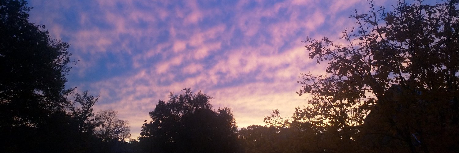 augouz's profile banner image