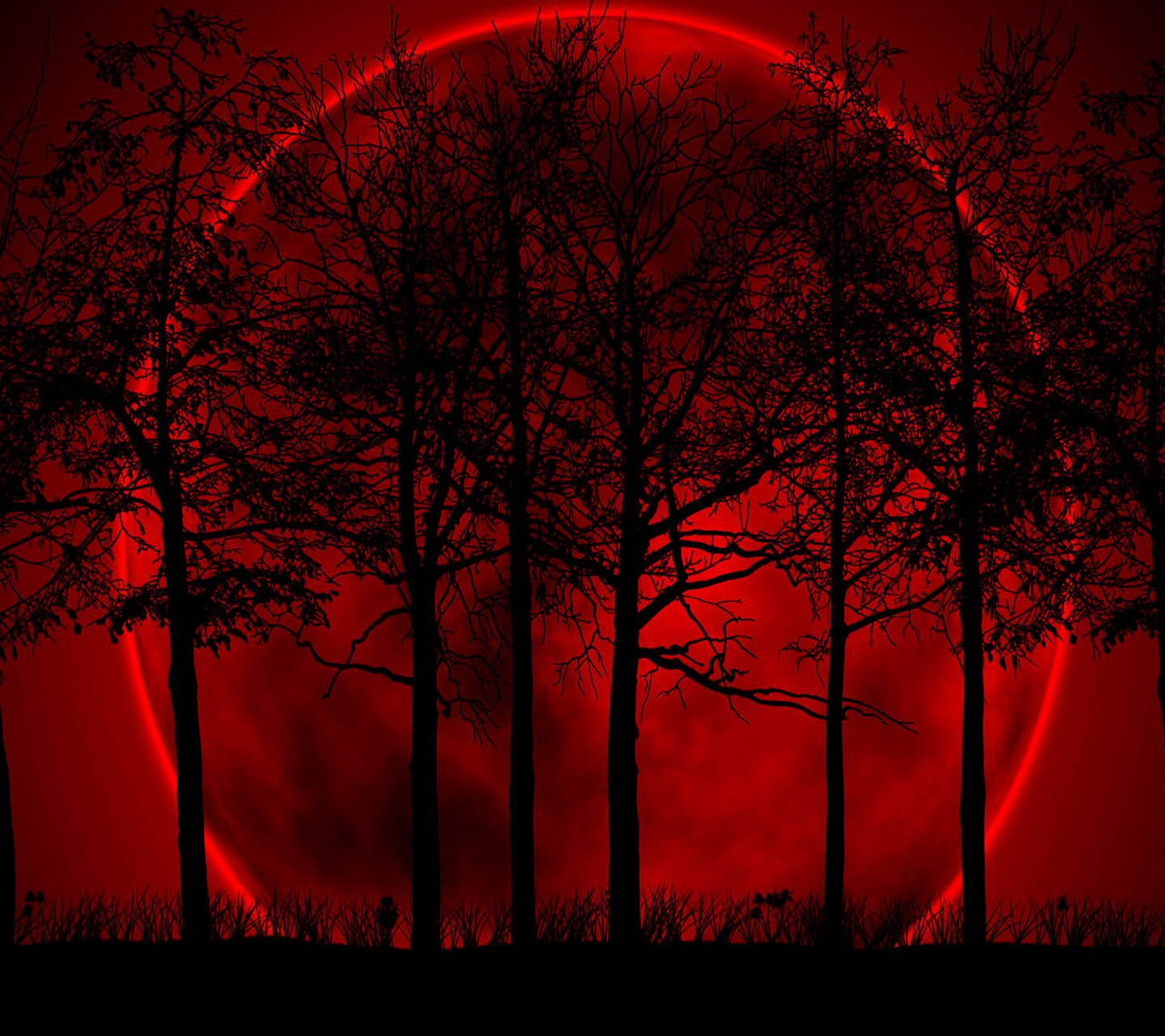 emartiba's profile banner image