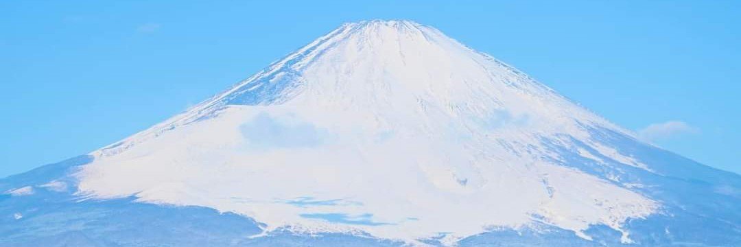 peeyuuna's profile banner image