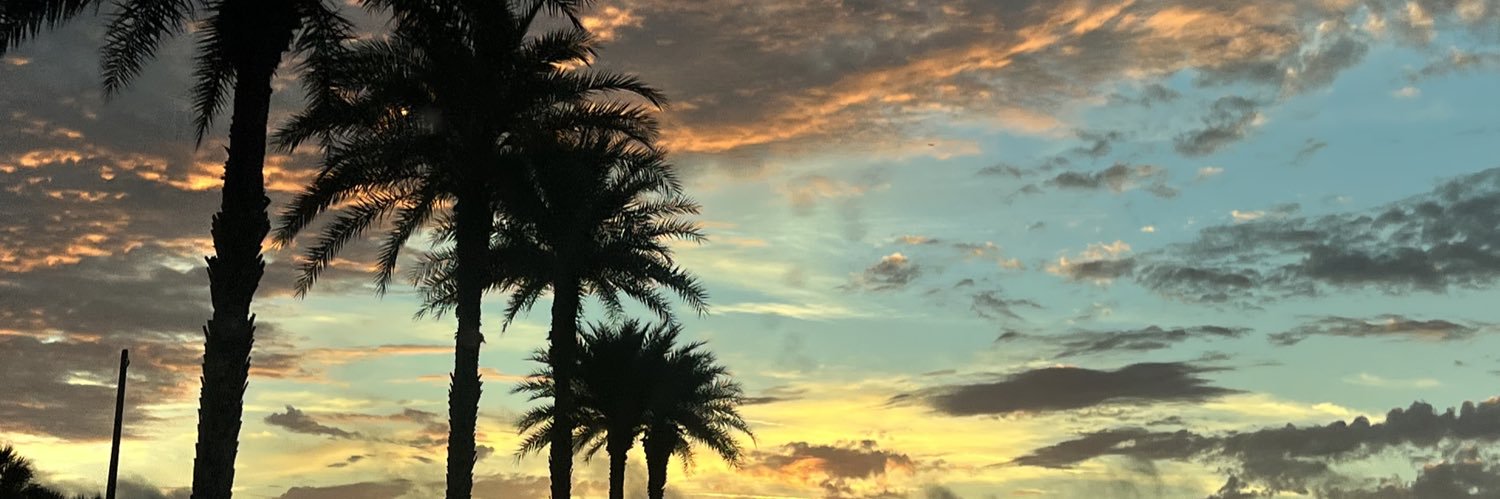 simplyalex___'s profile banner image