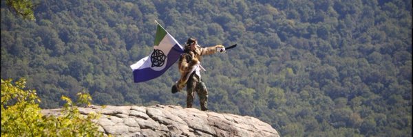 foxbrained Profile Banner