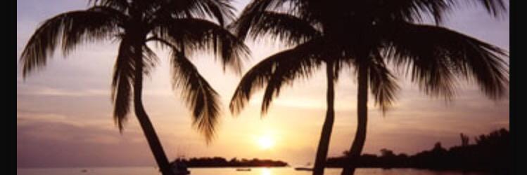 Jaydee banner