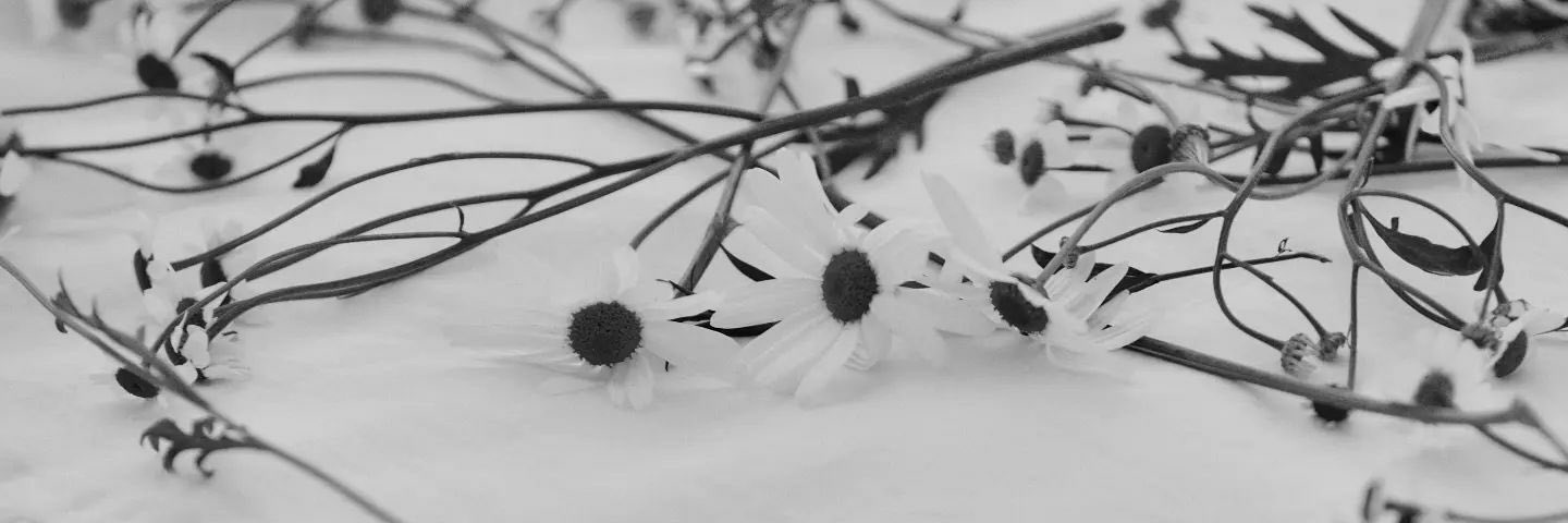 simpvjk's profile banner image