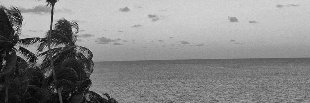 cecília! banner